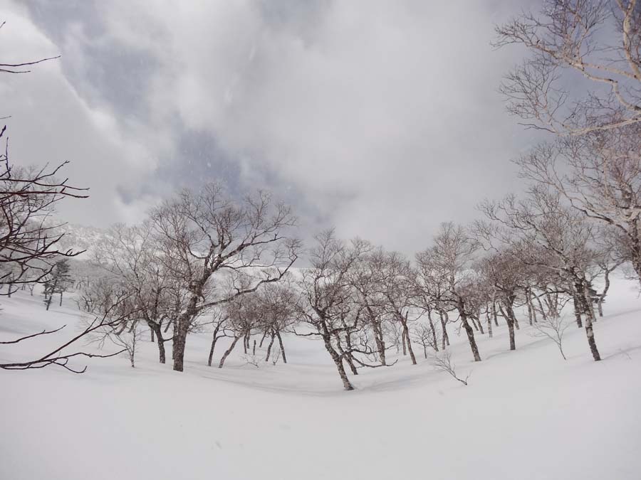 http://www.norte-sapporo.com/JP/02A2-DSC06823.jpg