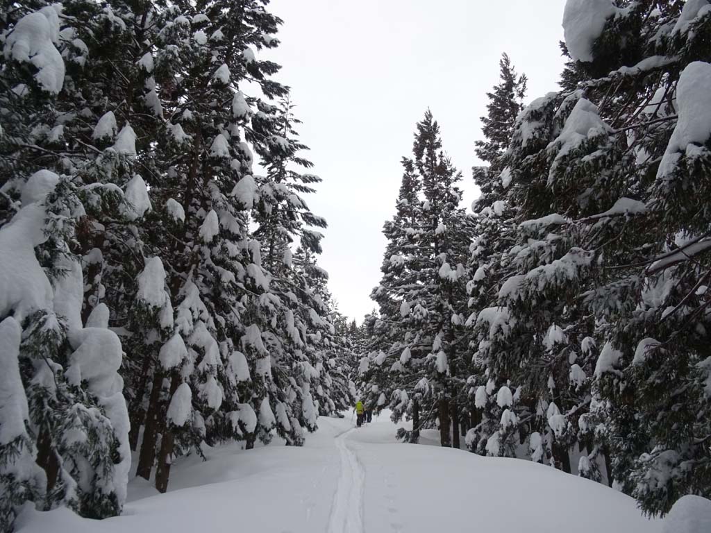 http://www.norte-sapporo.com/JP/02_2DSC01373.jpg