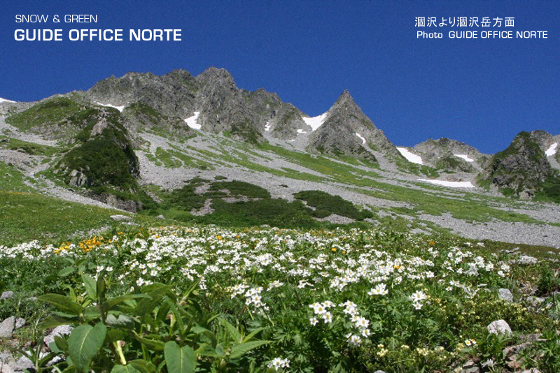 http://www.norte-sapporo.com/JP/06_alpus.jpg