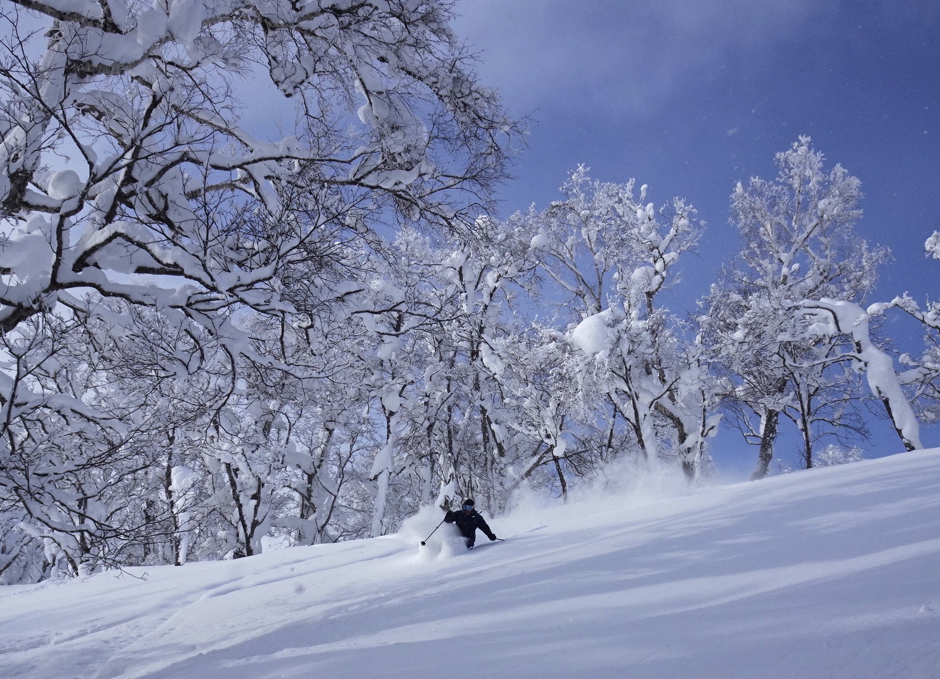 http://www.norte-sapporo.com/JP/136380549_3617704588297838_4878018609974202503_o.jpg