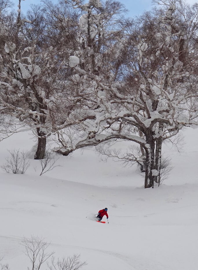 http://www.norte-sapporo.com/JP/142640205_3668829256518704_201136675770955059_n.jpg