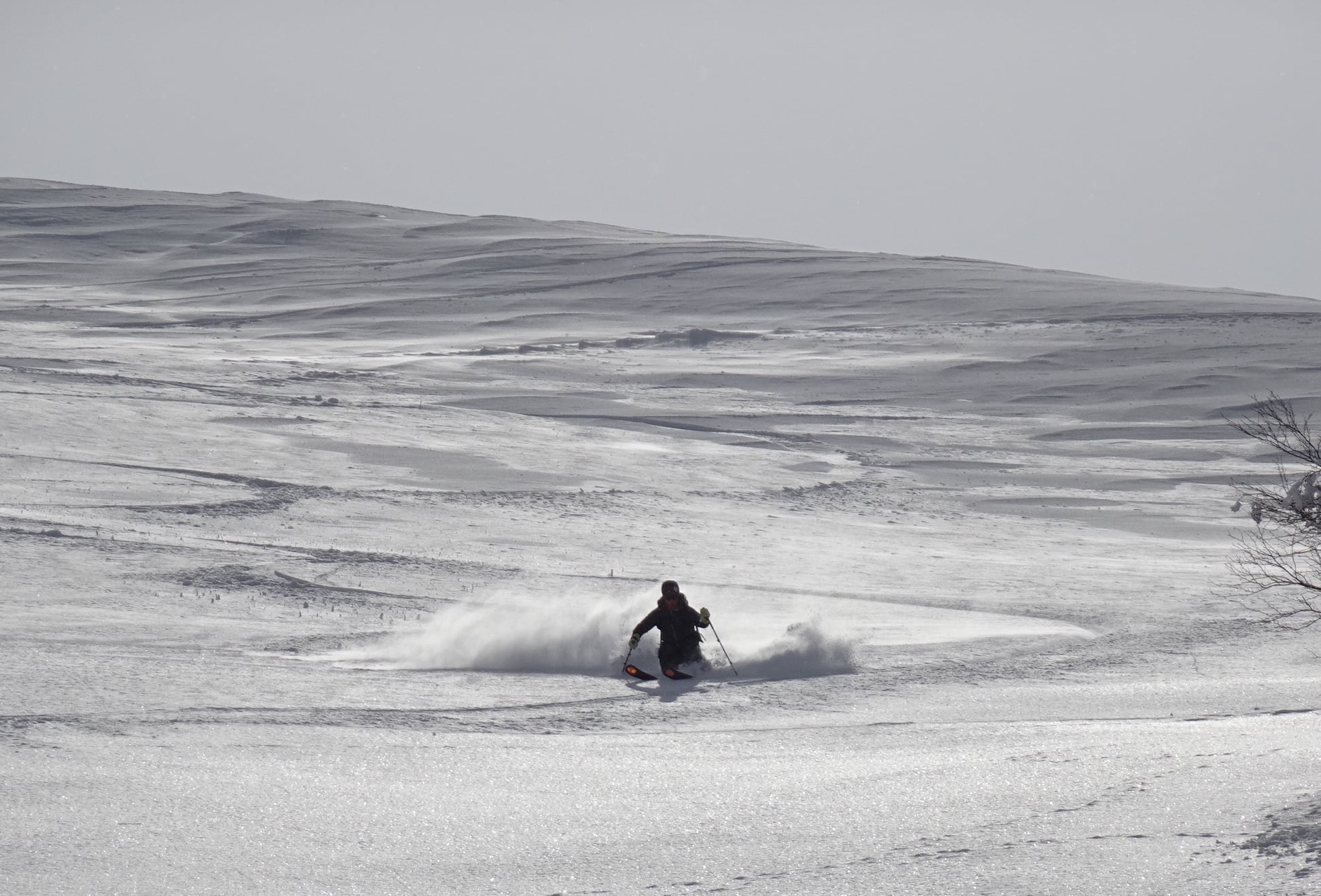 http://www.norte-sapporo.com/JP/163759515_3820705557997739_1239579000604729168_o.jpg