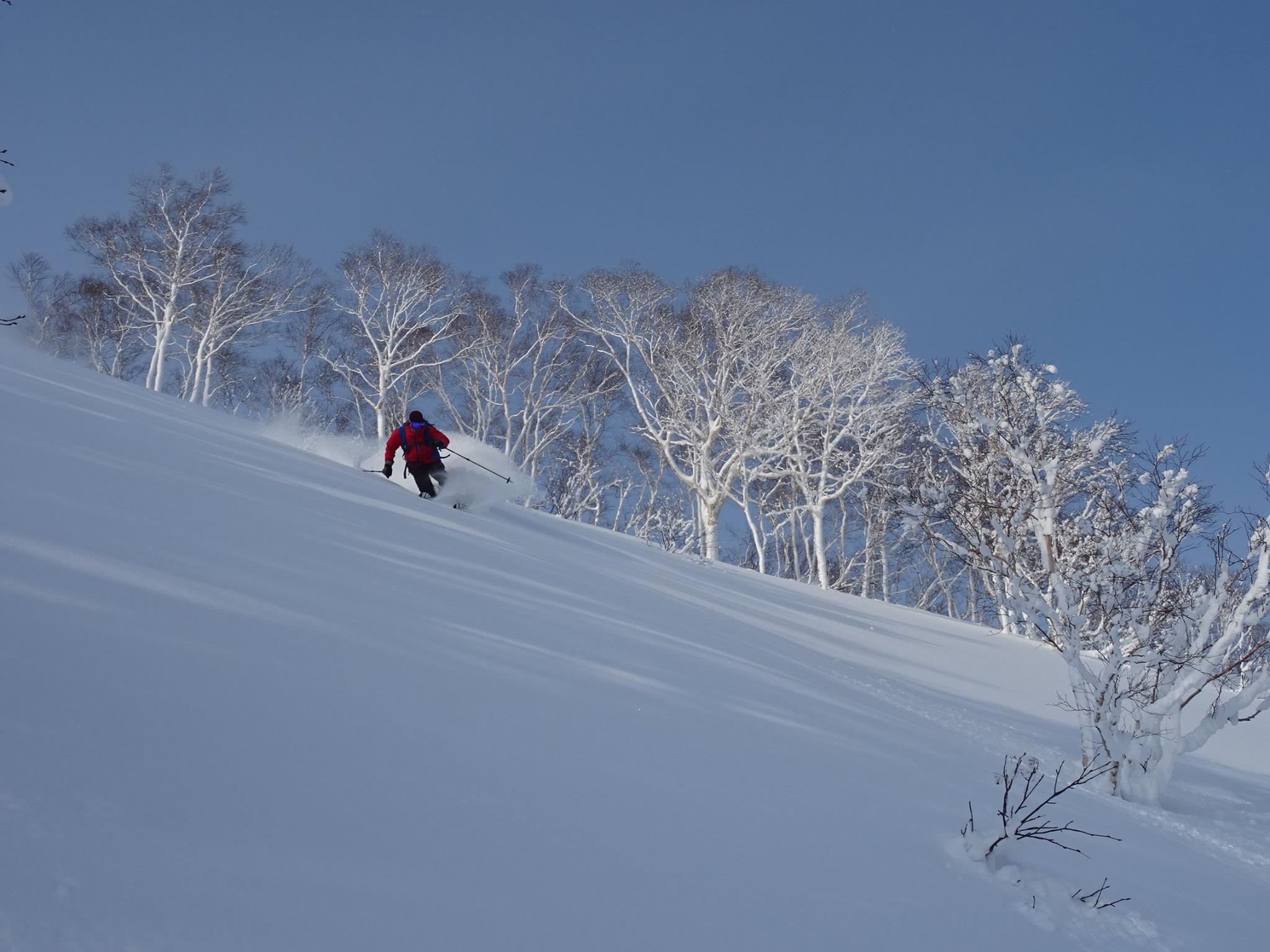 http://www.norte-sapporo.com/JP/16403392_1265056260229361_7235469045709372302_o.jpg