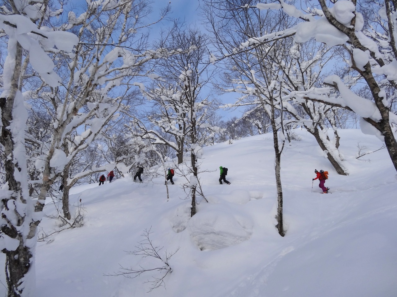 http://www.norte-sapporo.com/JP/2013PBC2_16.jpg