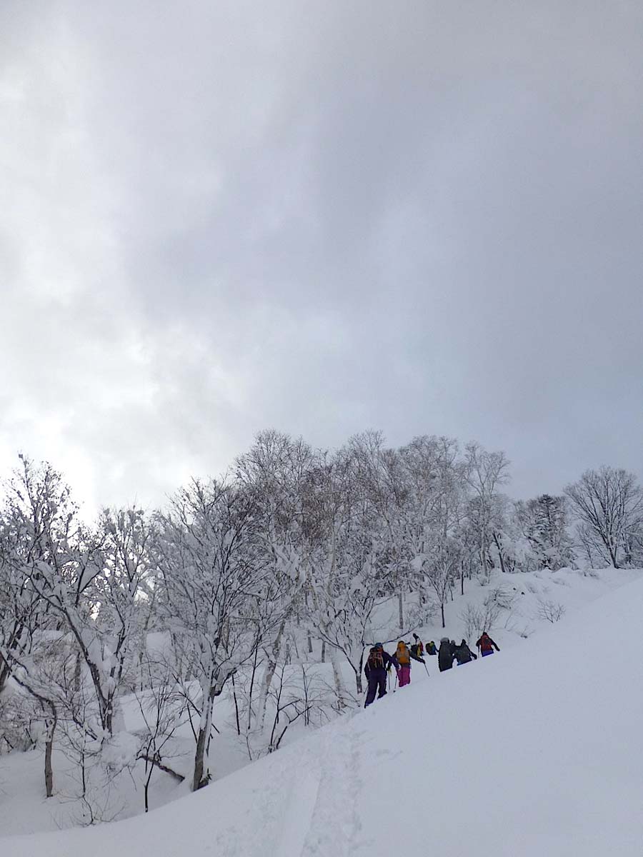 http://www.norte-sapporo.com/JP/2P1030565.jpg