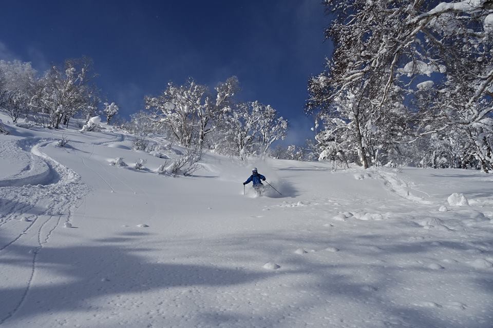 http://www.norte-sapporo.com/JP/2haruka222.jpg