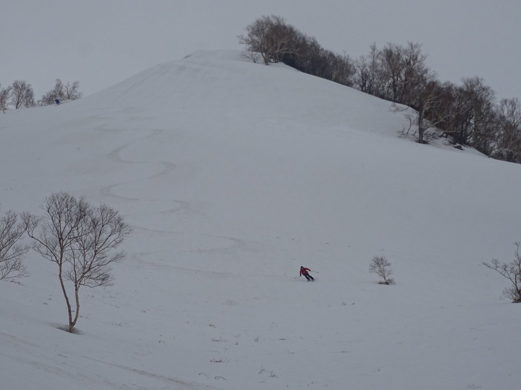 http://www.norte-sapporo.com/JP/30581882_1685457594855890_5581518951310950400_o.jpg