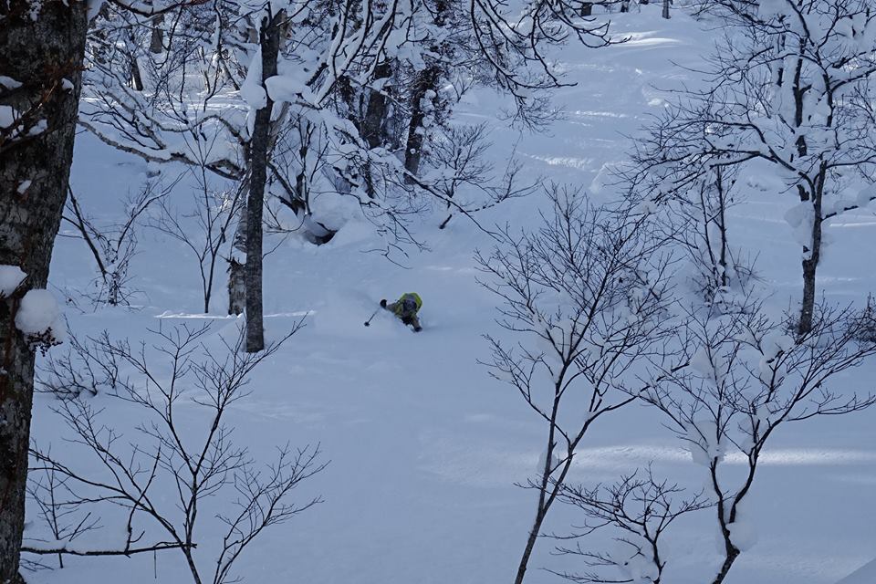 http://www.norte-sapporo.com/JP/3haruka.jpg