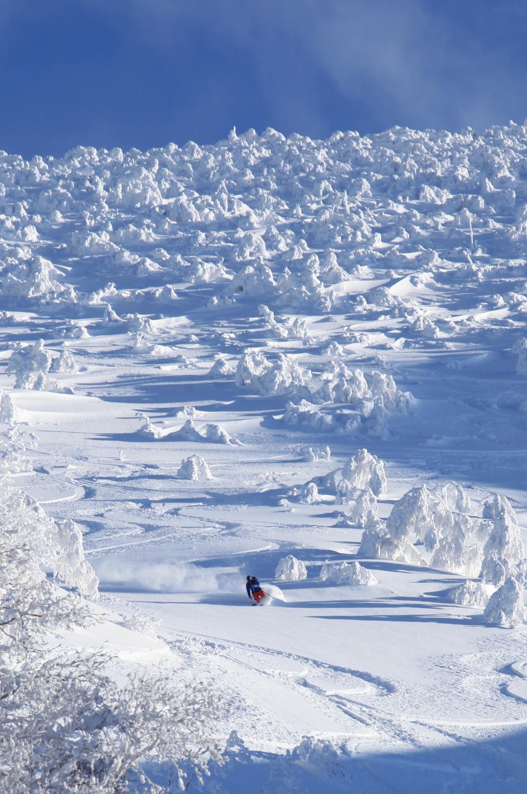 http://www.norte-sapporo.com/JP/50045942_2058179880916991_7111305767214383104_o.jpg