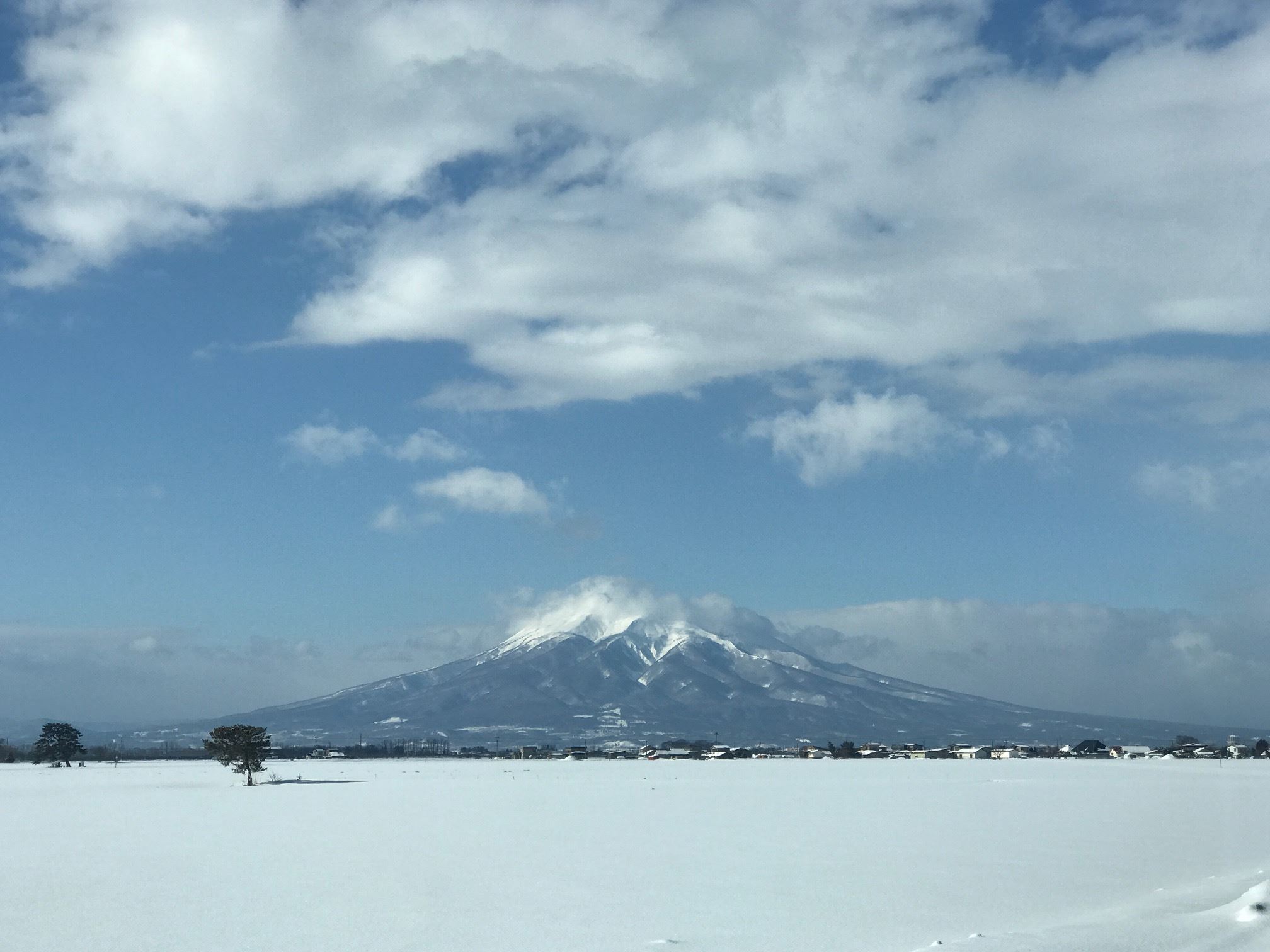 http://www.norte-sapporo.com/JP/50777180_2074257212642591_7941307226503774208_o.jpg