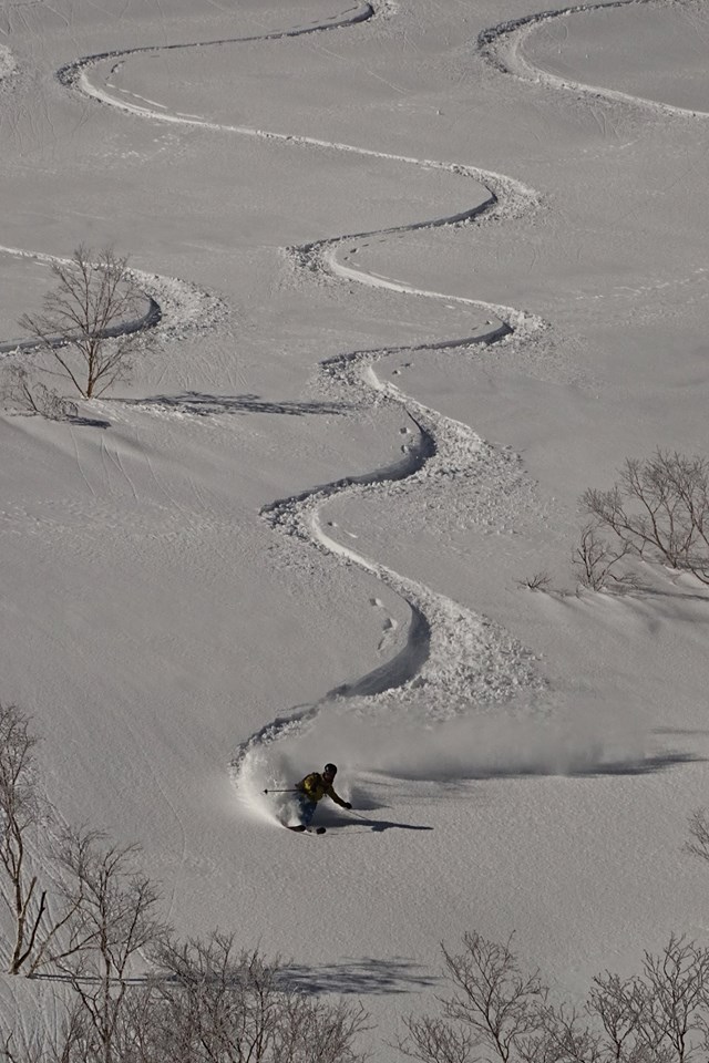 http://www.norte-sapporo.com/JP/5yoichi.jpg