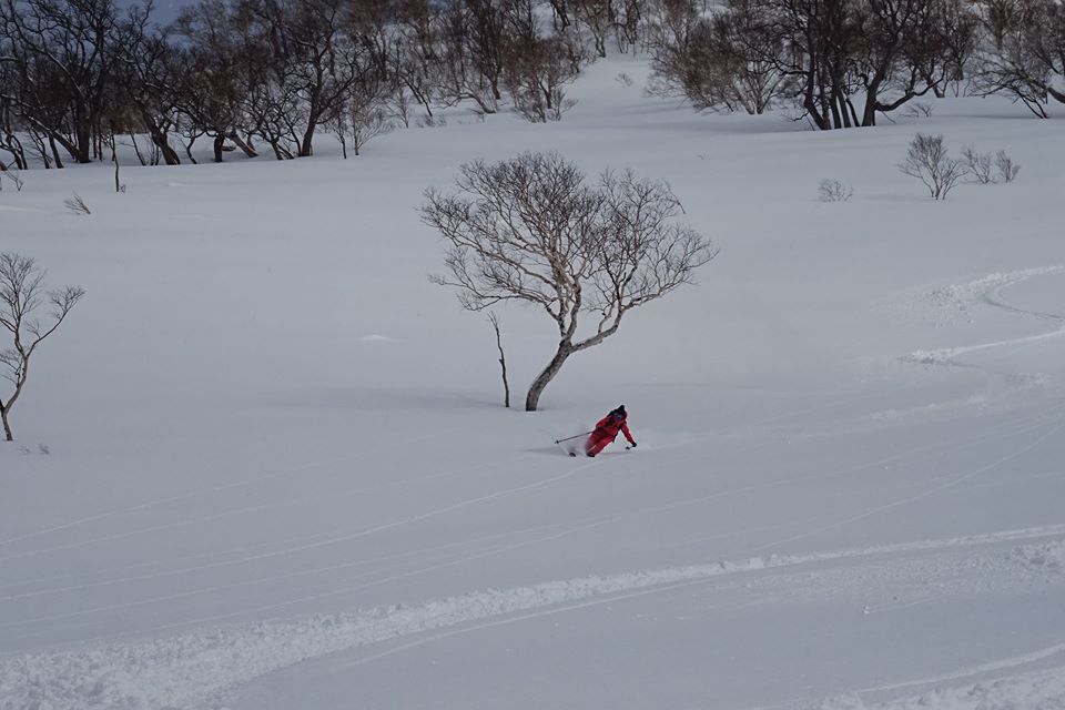 http://www.norte-sapporo.com/JP/6_syokanbetsu.jpg