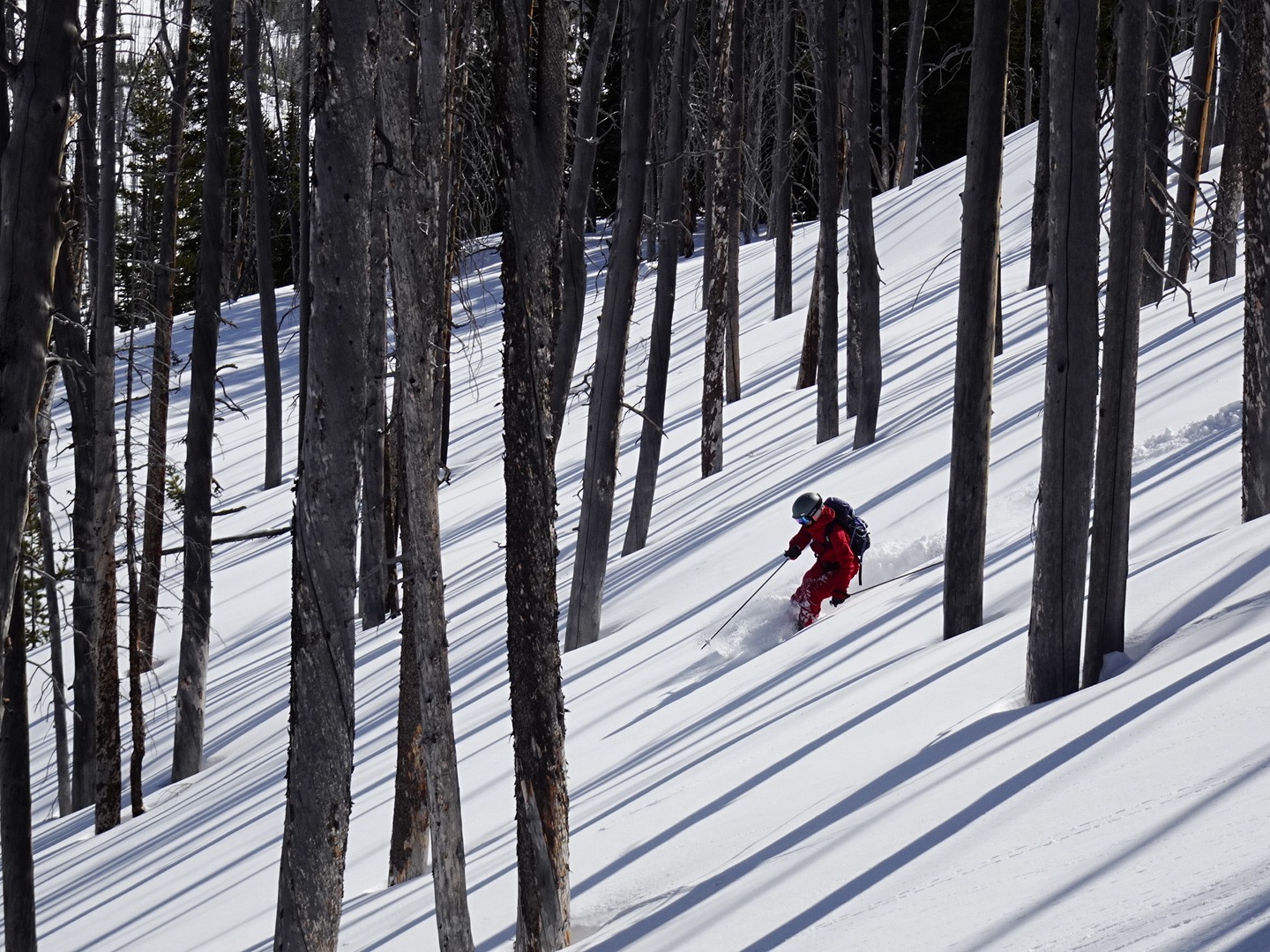 http://www.norte-sapporo.com/JP/88982877_2817715748296730_5154163503426174976_o.jpg