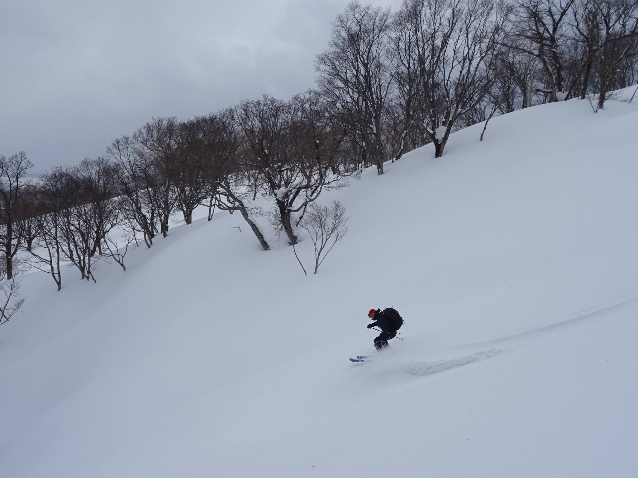 http://www.norte-sapporo.com/JP/8_17015713_1299287890139531_8555907185805738969_o.jpg