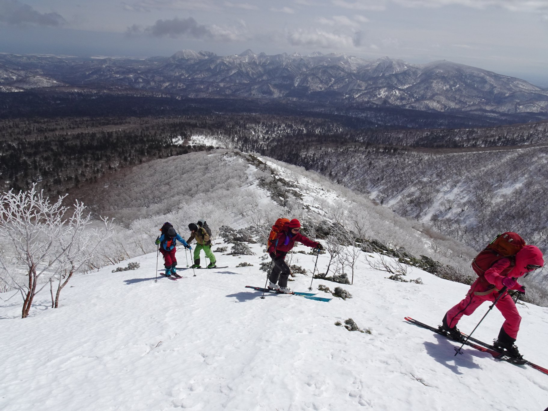 http://www.norte-sapporo.com/JP/91433068_2860614297340208_3336212823234576384_o.jpg