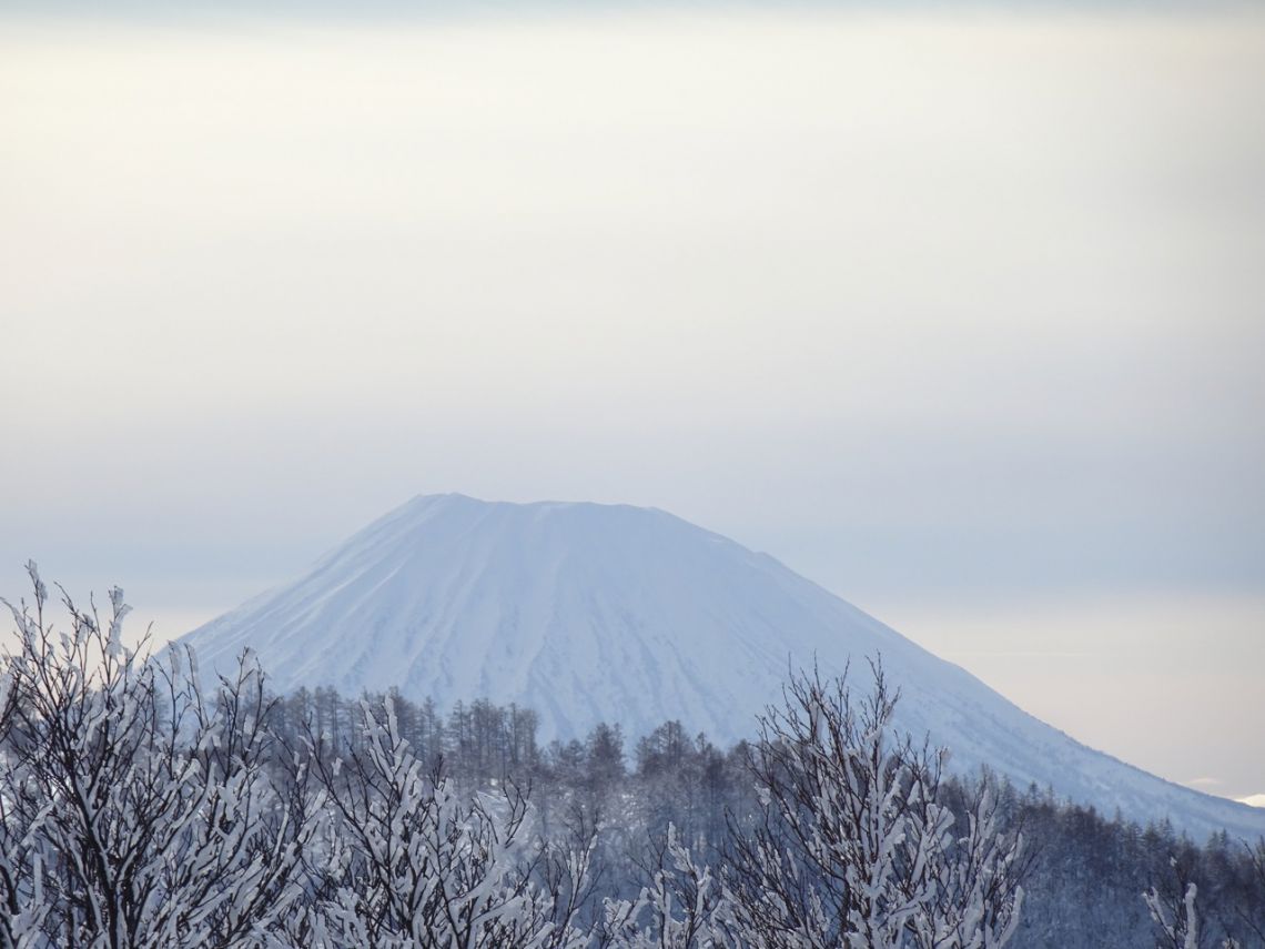 http://www.norte-sapporo.com/JP/DSC06188.jpg