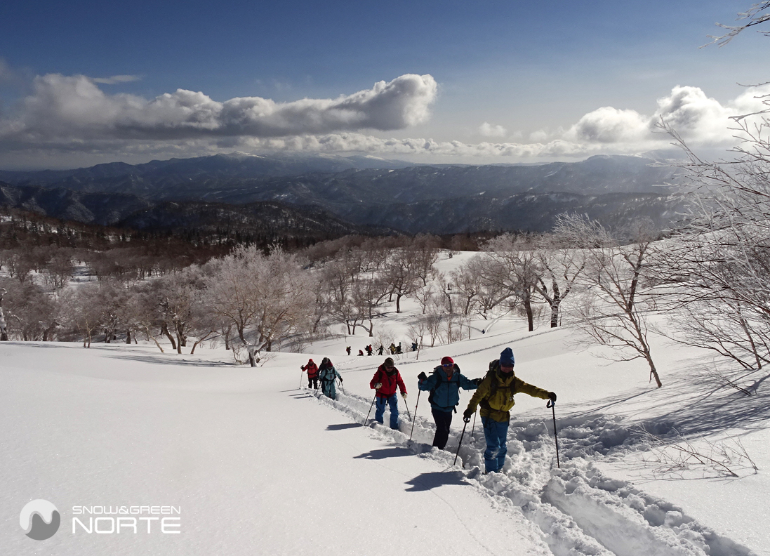 http://www.norte-sapporo.com/JP/NORTE2023-BC6.jpg