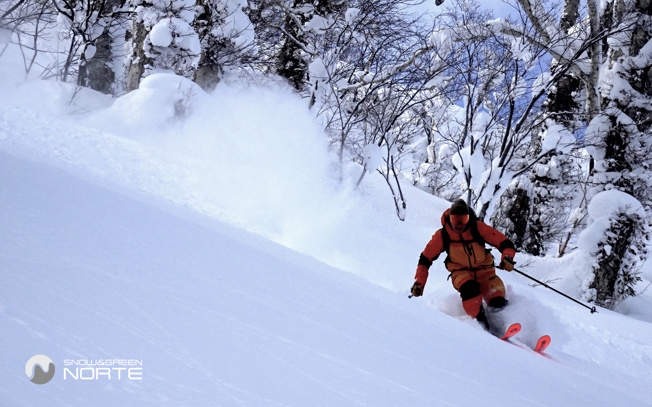 http://www.norte-sapporo.com/JP/NORTE2024-powder2.jpg