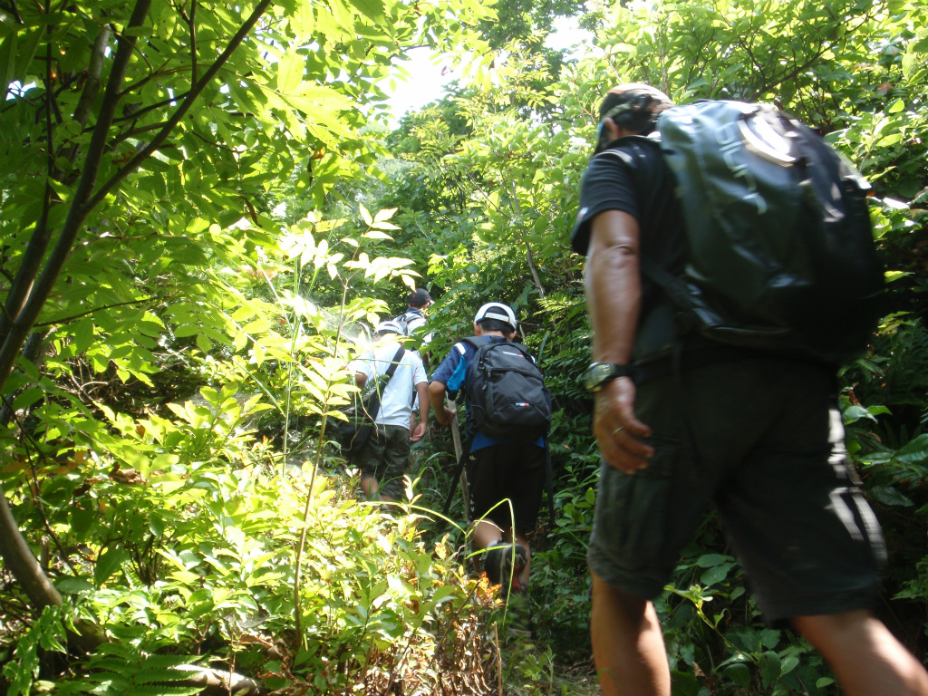 http://www.norte-sapporo.com/JP/P8080181.jpg