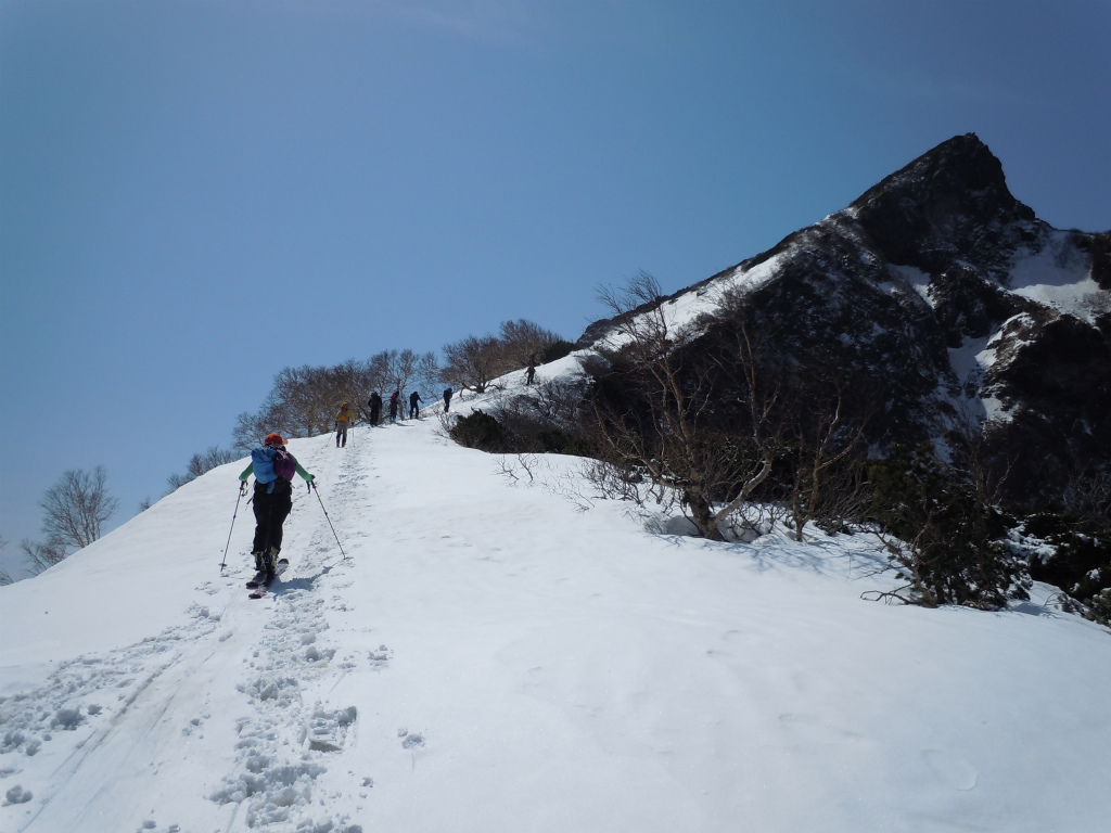 http://www.norte-sapporo.com/JP/R-DSCN2355.jpg