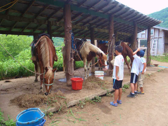 20110806101.jpg
