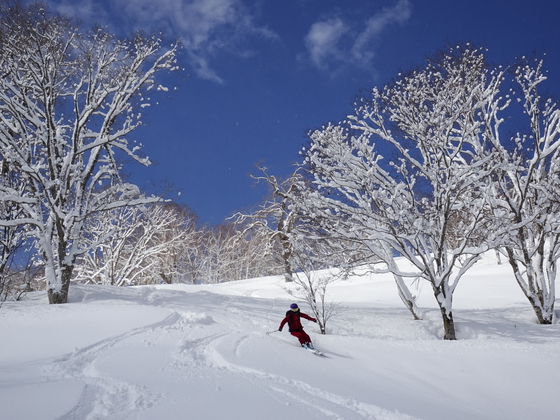 bc3-asahikawa.JPG