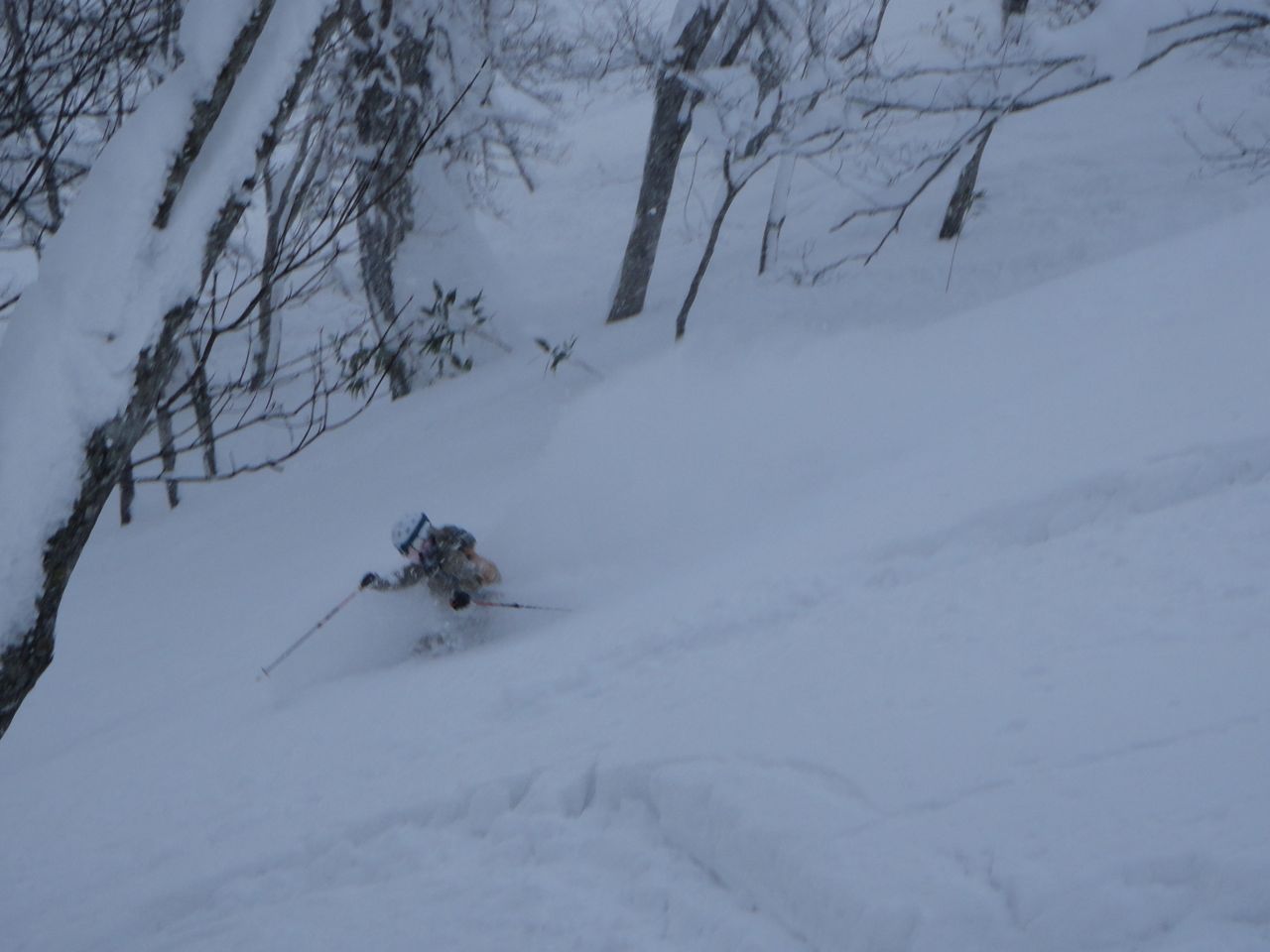 http://www.norte-sapporo.com/JP/norte_pbc2011-12-05.jpg